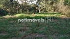 Foto 7 de Fazenda/Sítio à venda, 6000m² em , Mateus Leme