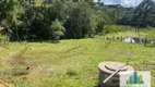 Foto 4 de Fazenda/Sítio com 2 Quartos à venda, 80m² em Rural, Toledo