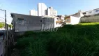 Foto 5 de Lote/Terreno para alugar, 1995m² em Vila Baeta Neves, São Bernardo do Campo