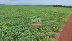 Foto 16 de Fazenda/Sítio à venda, 2444m² em Zona Rural, Santa Maria do Tocantins