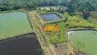 Foto 7 de Fazenda/Sítio à venda, 420000m² em Area Rural de Porto Velho, Porto Velho