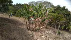 Foto 21 de Fazenda/Sítio com 3 Quartos à venda, 200m² em Chacara Itapoa, Jacareí