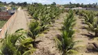 Foto 9 de Fazenda/Sítio à venda, 400m² em Ilha de Santa Rita, Marechal Deodoro