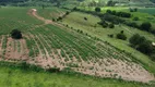 Foto 12 de Fazenda/Sítio com 3 Quartos à venda, 254100m² em Zona Rural, Jacutinga