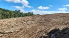 Foto 7 de Fazenda/Sítio à venda, 196000m² em Centro, Campo do Tenente