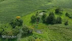 Foto 13 de Fazenda/Sítio com 2 Quartos à venda, 200m² em Zona Rural, Lindoeste