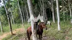 Foto 16 de Fazenda/Sítio à venda, 1350000m² em Centro, Rio Casca