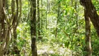 Foto 5 de Chácara com 1 Quarto à venda, 50m² em Zona Rural, Teresina de Goiás