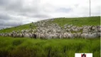 Foto 2 de Fazenda/Sítio com 20 Quartos à venda, 149000000m² em Zona Rural, Rondolândia