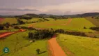 Foto 16 de Lote/Terreno à venda, 1000m² em , Tuiuti