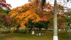 Foto 23 de Fazenda/Sítio com 3 Quartos à venda, 40000m² em Altos de Itu, Itu