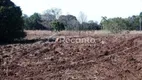 Foto 13 de Fazenda/Sítio à venda, 603000m² em Linha Quilombo, Gramado