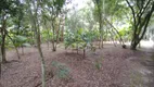 Foto 37 de Fazenda/Sítio com 3 Quartos à venda, 10000m² em Taiacupeba, Mogi das Cruzes