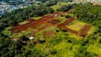 Foto 2 de Lote/Terreno à venda, 250m² em Porto Meira, Foz do Iguaçu