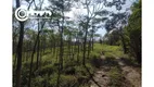 Foto 7 de Fazenda/Sítio com 2 Quartos à venda, 290400m² em Zona Rural, Registro