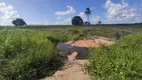 Foto 8 de Fazenda/Sítio com 2 Quartos à venda, 25000m² em Centro, Mamanguape