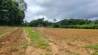 Foto 10 de Fazenda/Sítio com 8 Quartos à venda, 350m² em Vila Nova, Joinville