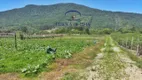 Foto 24 de Fazenda/Sítio com 3 Quartos à venda, 25000m² em Ratones, Florianópolis