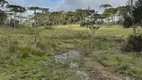 Foto 8 de Fazenda/Sítio à venda, 140000m² em Riacho, Urubici