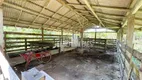 Foto 21 de Fazenda/Sítio com 2 Quartos à venda, 100000m² em Papucaia, Cachoeiras de Macacu