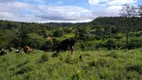 Foto 5 de Fazenda/Sítio à venda em Setor Central, Goiânia