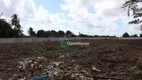 Foto 6 de Lote/Terreno à venda, 4000m² em Jardins, São Gonçalo do Amarante