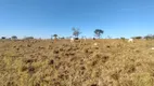 Foto 35 de Fazenda/Sítio com 3 Quartos à venda, 103m² em Zona Rural, Colinas do Sul