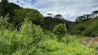 Foto 24 de Fazenda/Sítio com 3 Quartos à venda, 216000m² em Zona Rural, Delfim Moreira