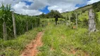 Foto 25 de Fazenda/Sítio à venda, 701000m² em Centro, Monte Sião