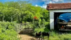 Foto 24 de Fazenda/Sítio à venda, 4000000m² em Centro, Quixadá