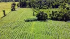 Foto 11 de Fazenda/Sítio para venda ou aluguel, 64758m² em , São José do Vale do Rio Preto