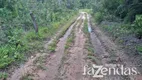 Foto 3 de Fazenda/Sítio com 10 Quartos à venda, 838m² em Zona Rural, Conceição do Tocantins