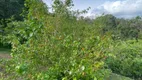 Foto 65 de Fazenda/Sítio com 4 Quartos à venda, 22000m² em Braunes, Nova Friburgo