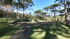 Foto 10 de Lote/Terreno à venda, 3745m² em , Garibaldi