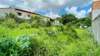 Foto 15 de Lote/Terreno à venda, 461m² em Marechal Rondon, Igarapé