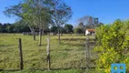 Foto 3 de Fazenda/Sítio à venda, 36200m² em , Porangaba