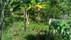 Foto 29 de Fazenda/Sítio com 3 Quartos à venda, 140000m² em Zona Rural, Padre Bernardo