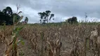 Foto 25 de Fazenda/Sítio à venda, 24000m² em Zona Rural, Mandirituba