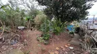 Foto 4 de Lote/Terreno à venda, 500m² em Jardim Bela Vista, Mogi das Cruzes