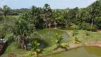 Foto 2 de Fazenda/Sítio com 3 Quartos à venda, 7000m² em Gapara, São Luís