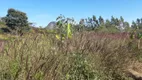 Foto 6 de Fazenda/Sítio com 2 Quartos à venda, 1m² em Sao Pedro da Serra, Nova Friburgo