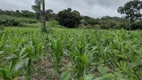 Foto 24 de Lote/Terreno à venda, 20000m² em Zona Rural, Fortuna de Minas