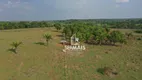 Foto 12 de Fazenda/Sítio à venda, 8280000m² em Zona Rural, Pimenta Bueno