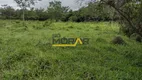 Foto 6 de Fazenda/Sítio com 2 Quartos à venda, 1550000m² em Centro, Fortuna de Minas