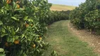 Foto 2 de Fazenda/Sítio com 3 Quartos à venda, 85m² em Area Rural de Marilia, Marília