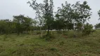 Foto 7 de Fazenda/Sítio com 3 Quartos à venda, 86300m² em Zona Rural, Novo Brasil