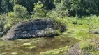 Foto 19 de Fazenda/Sítio à venda em Zona Rural, Bocaina do Sul