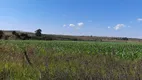 Foto 4 de Fazenda/Sítio à venda em Area Rural do Paranoa, Brasília