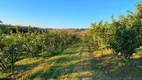 Foto 20 de Fazenda/Sítio com 3 Quartos à venda, 10m² em Macuco, Valinhos