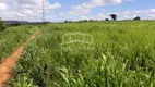 Foto 16 de Fazenda/Sítio com 3 Quartos à venda, 6000000m² em Centro, São João da Ponte